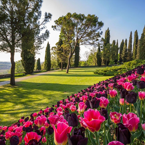 Giardini pubblici